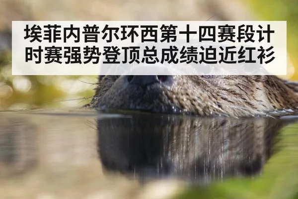 埃菲内普尔环西第十四赛段计时赛强势登顶总成绩迫近红衫